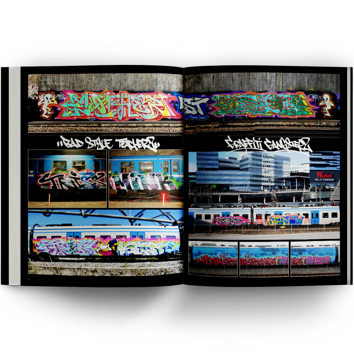 Triss Bad Style Teacher (Signed by Triss)