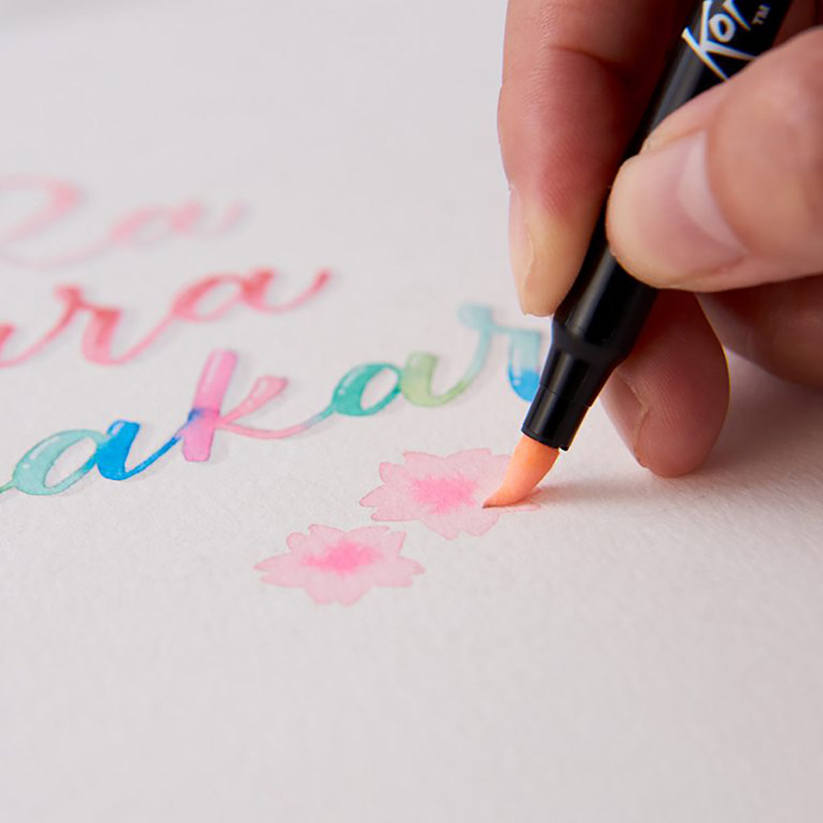 Sakura Koi Coloring Brush Pen 48 set