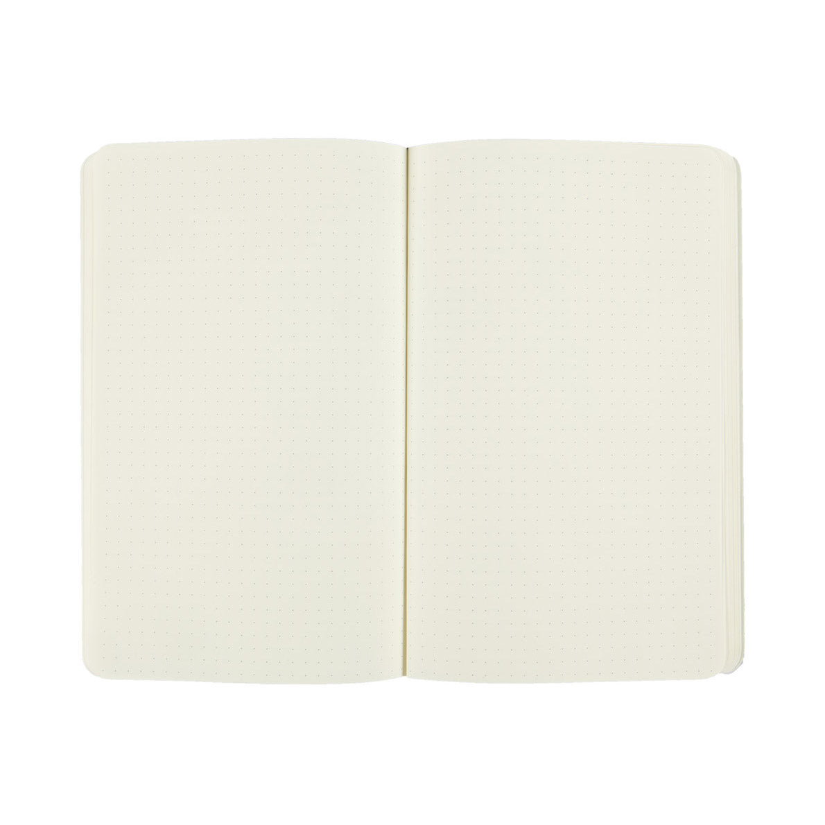 Moleskine Classic Large Notebook Soft Cover Dotted