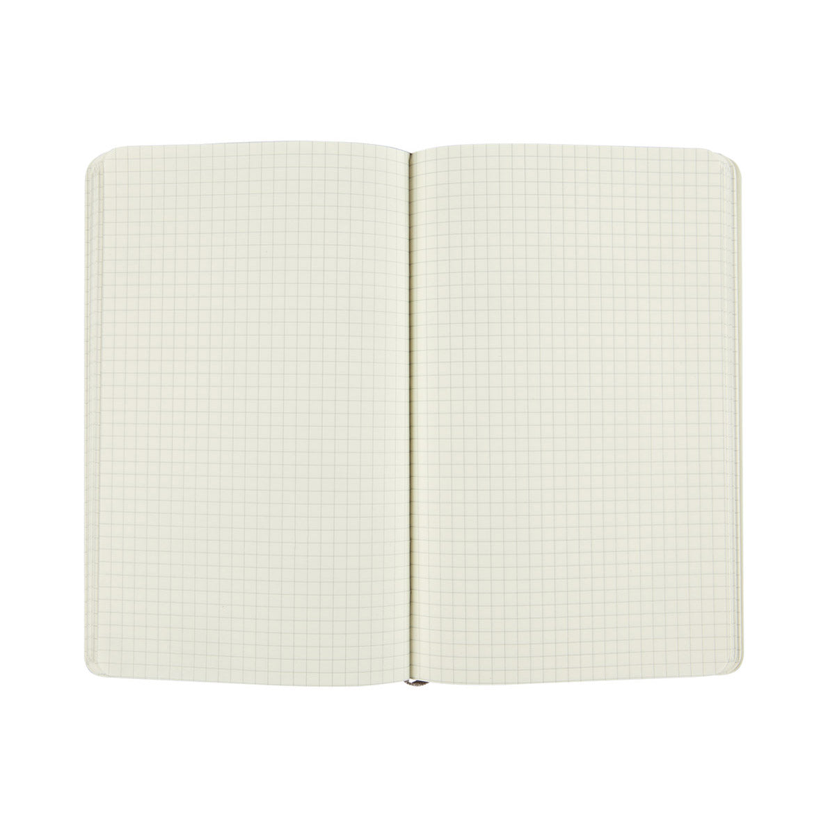 Moleskine Classic Large Notebook Soft Cover Squared